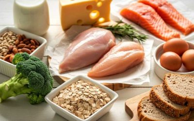 Équilibre entre glucides, protéines et lipides : ce qu’il faut savoir